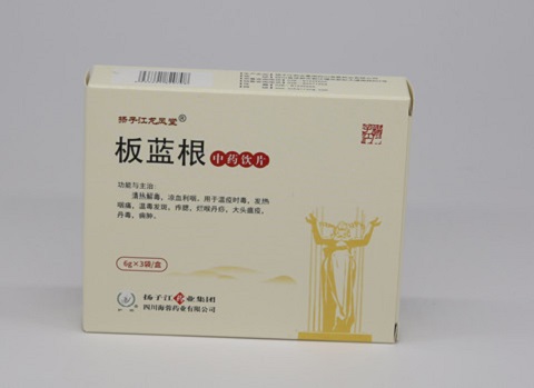 板藍根